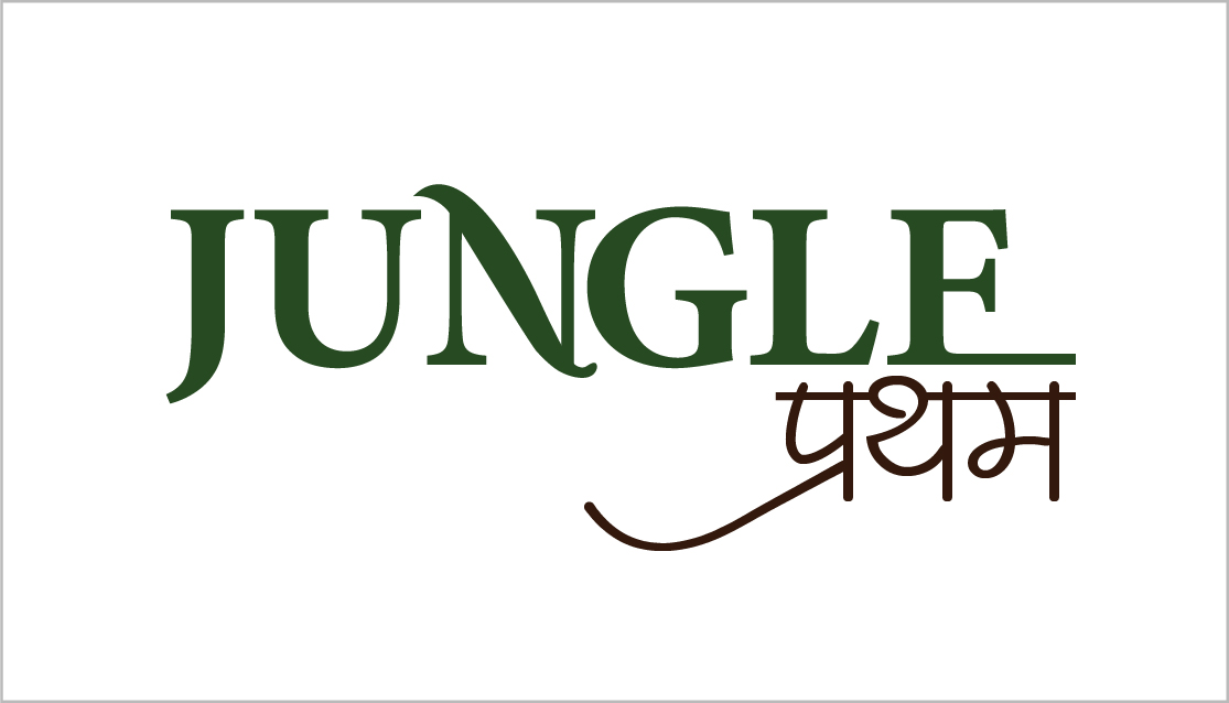 logo-design